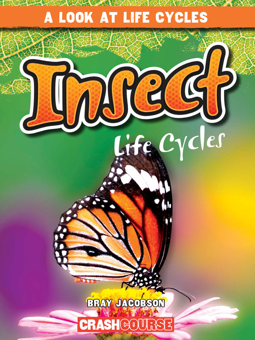Title details for Insect Life Cycles by Bray Jacobson - Available